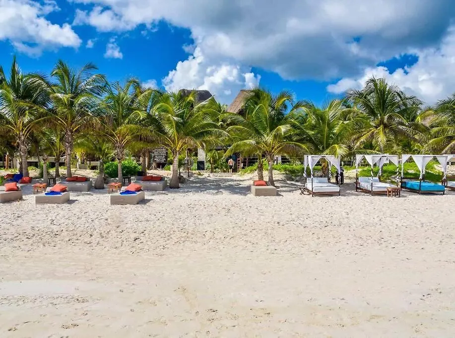 Lejlighed Rooftop Pool Paradise With Jungle Views Tulum
